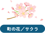 町の花/サクラ