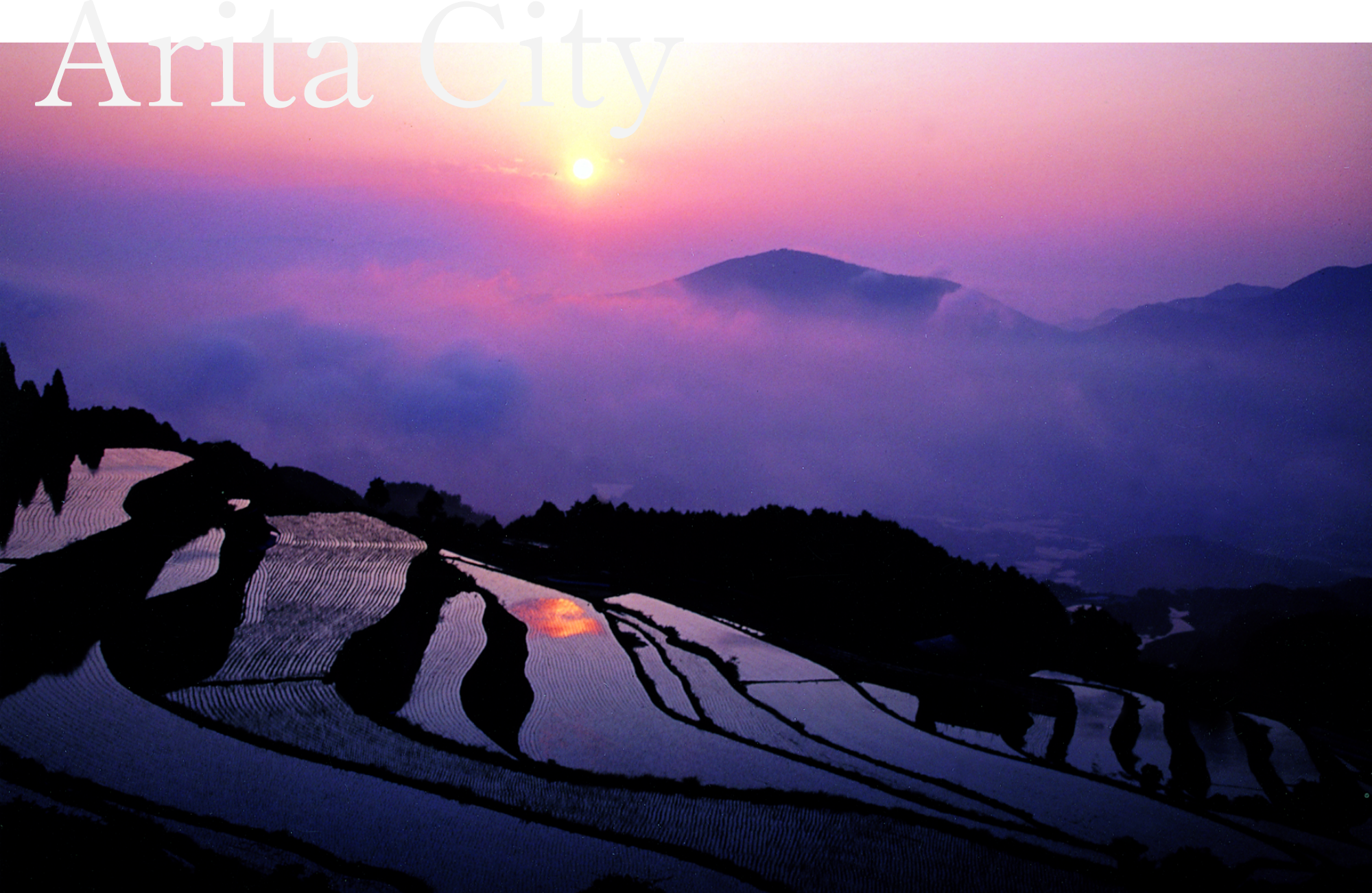 棚田の風景