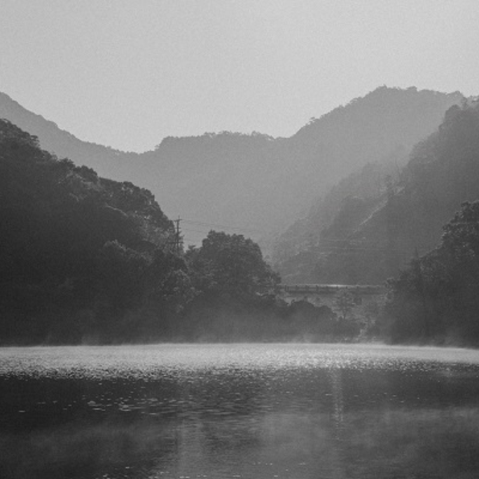 水辺の風景