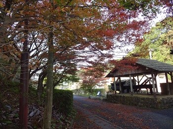 DSC04112_1