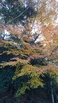 20171116-1a