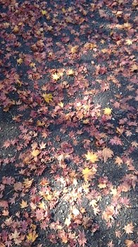 20171116-2a