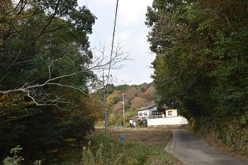 DSC_1543_1