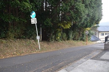DSC_1531_1