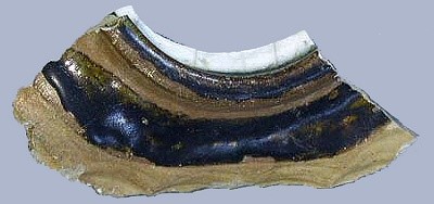 図1b_1