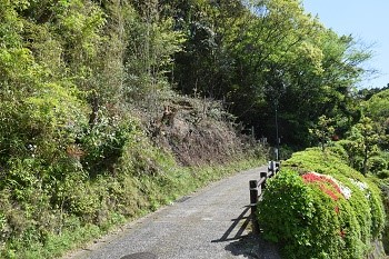 DSC_0005_1