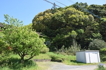 DSC_0001_1