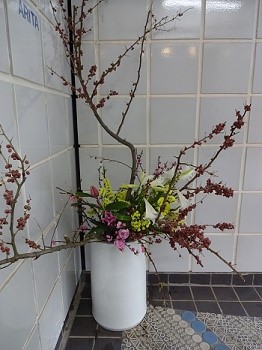 DSC05822-1 桃の花