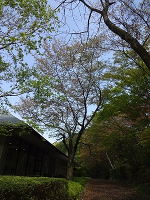 20190409-02