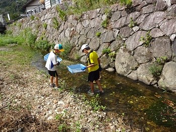 平成29年度川ざらい活動風景