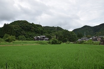 DSC_0852-1