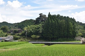 DSC_0960-1