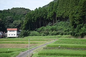 DSC_0959-1