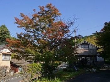 DSC07176-2