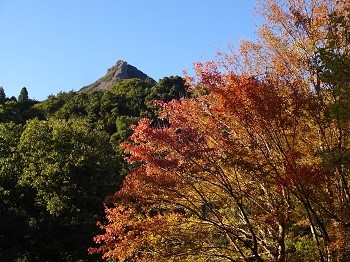 DSC07321 紅葉