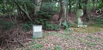 hiratoko-1