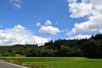 迎原高麗神窯跡-1