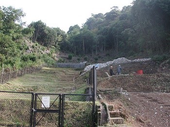 Photo-1