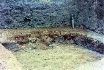 Photo-1