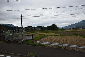 DSC_0103-1