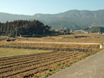 坂ノ下遺跡