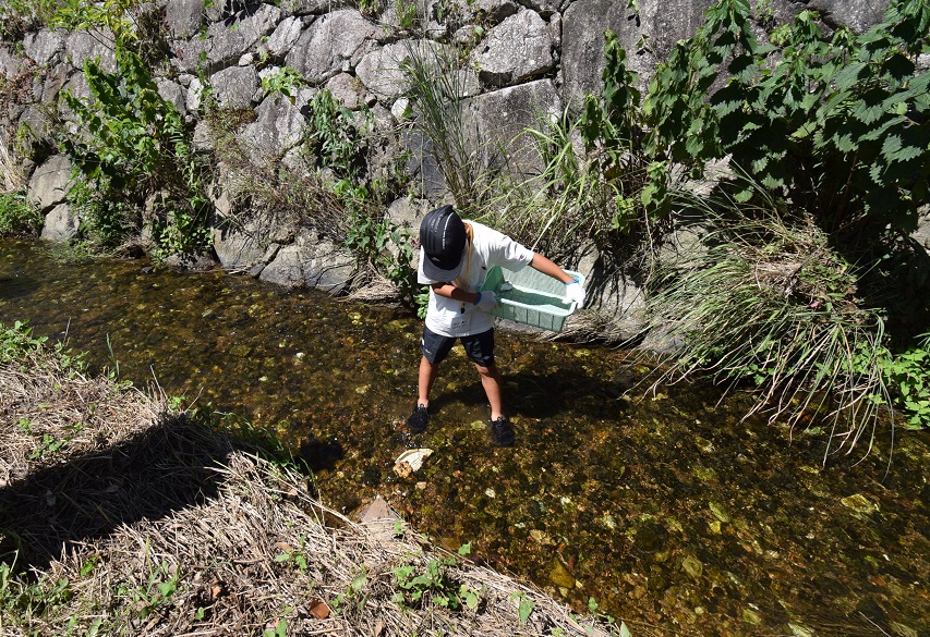 陶片探し中