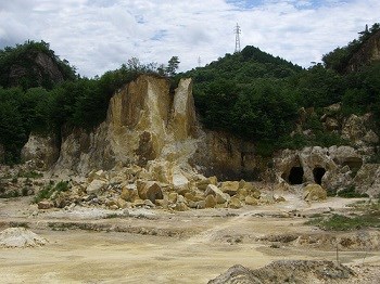 isiba1