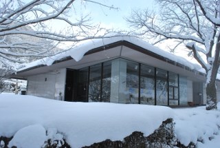 snow1