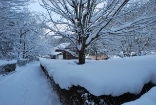 snow2