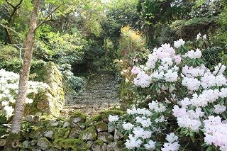 yamada2