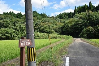 mukai2