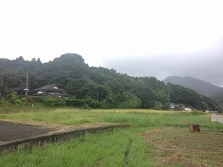 yabeta1