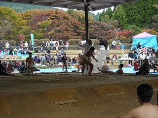 sumou2
