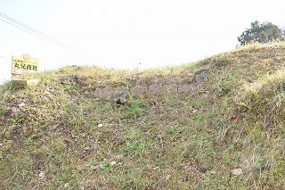 kotaru3