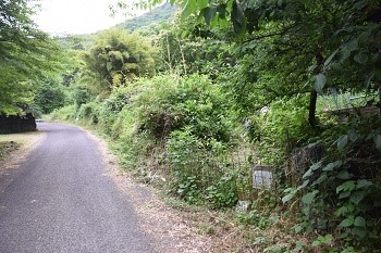 tosiki1