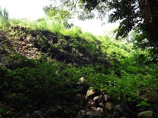 DSC03954