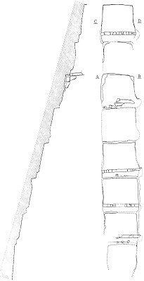 図2_1