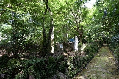 tanikamaato-1